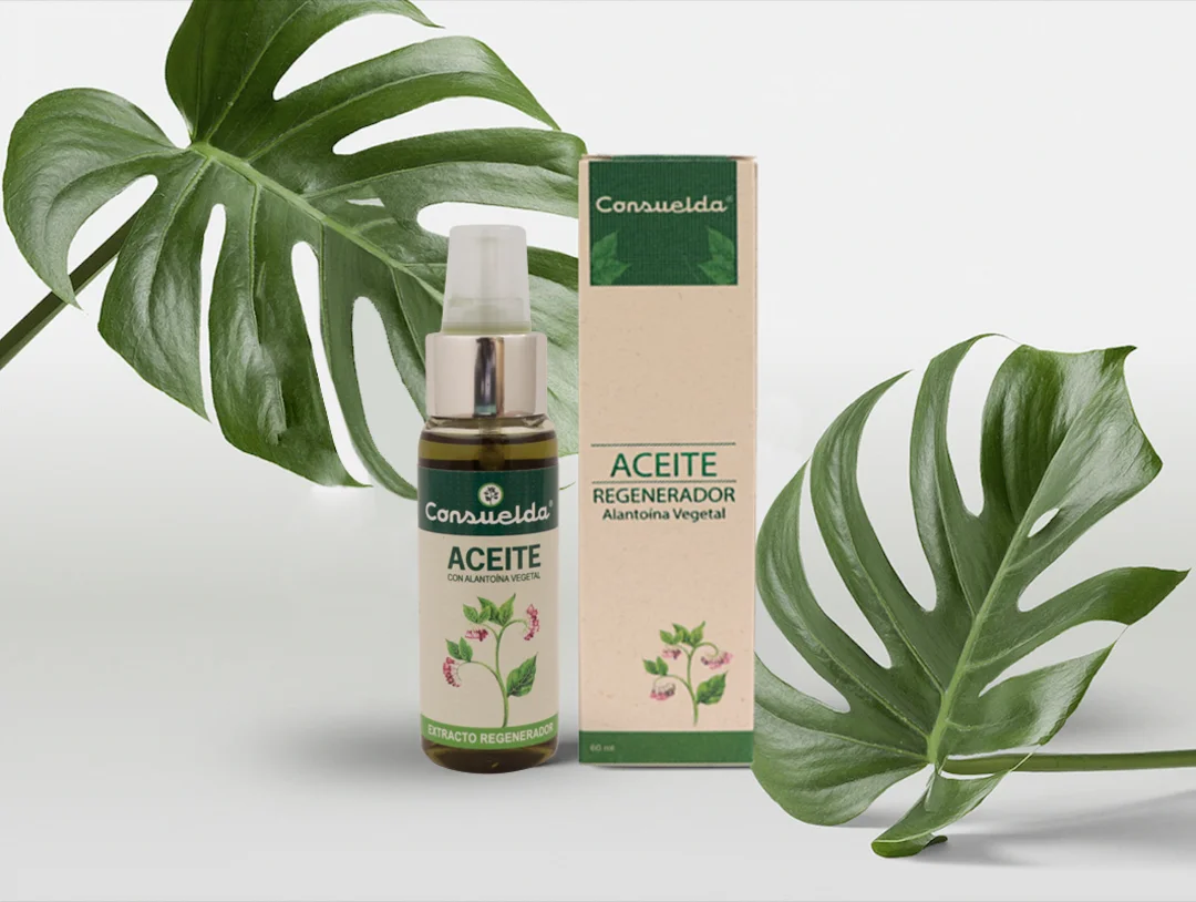 Aceite y Monstera